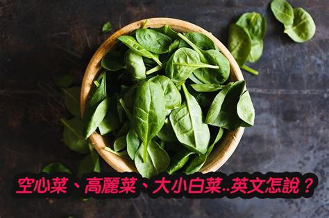 大白菜 意思|空心菜、高麗菜、大白菜、小白菜..英文怎麼說？4種常。